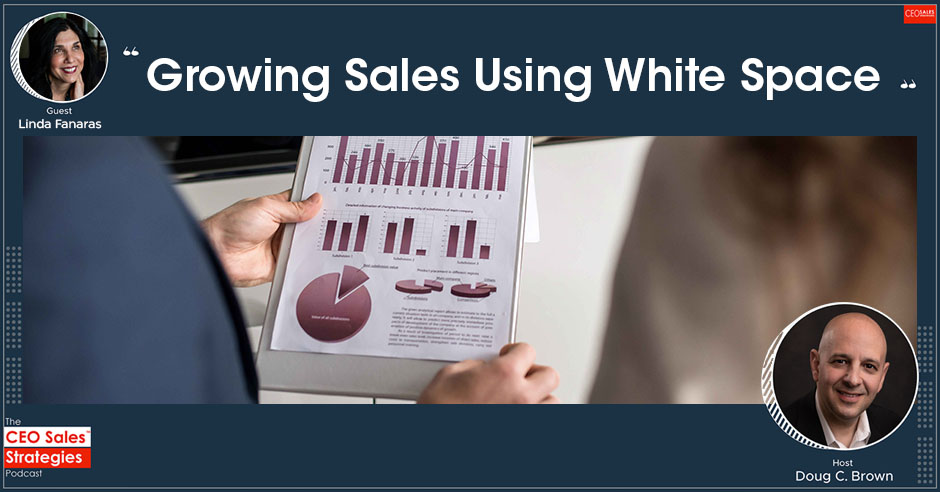 CEO Sales Strategies | White Space | Linda Fanaras